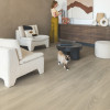 Ламинат Quick-Step Дуб серый тихоокеанский CLH5814